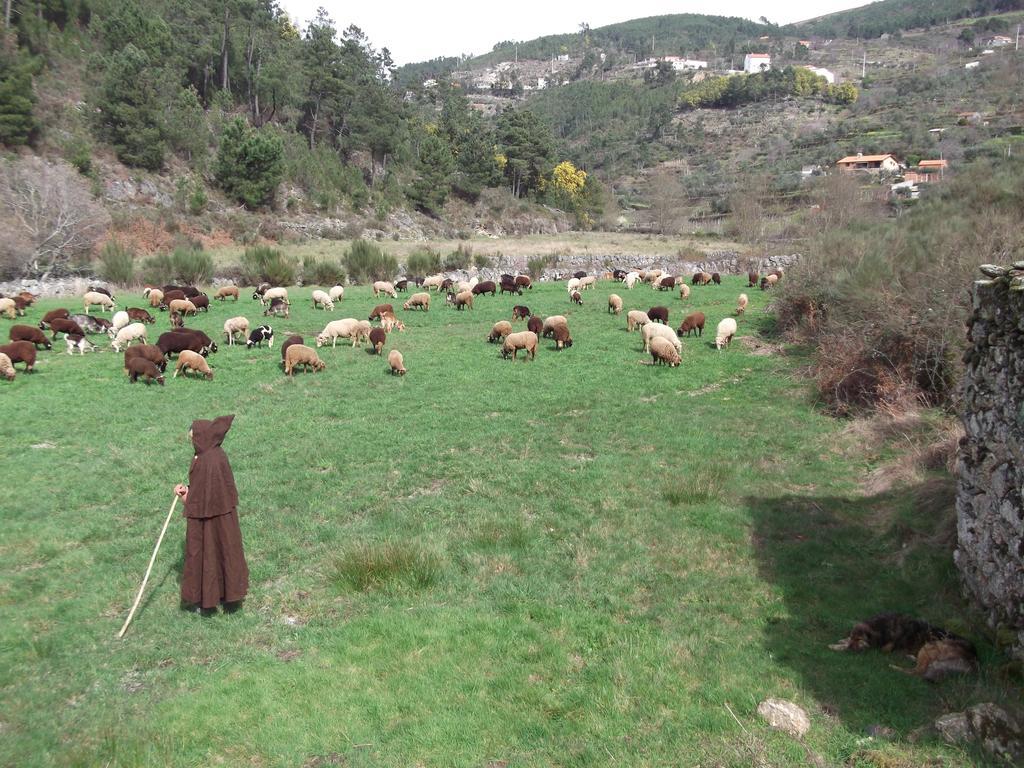 Casa Do Adro - Serra Da Estrela Cortes do Meio Kültér fotó